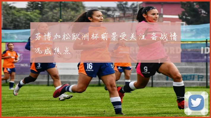 芬博加松欧洲杯前景受关注 备战情况成焦点