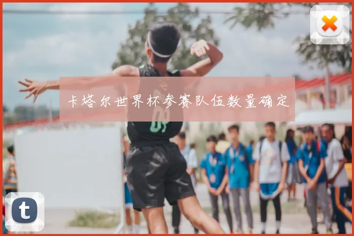 卡塔尔世界杯参赛队伍数量确定
