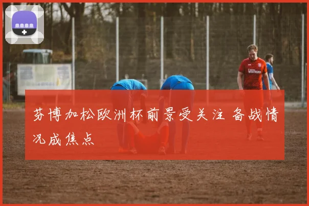芬博加松欧洲杯前景受关注 备战情况成焦点
